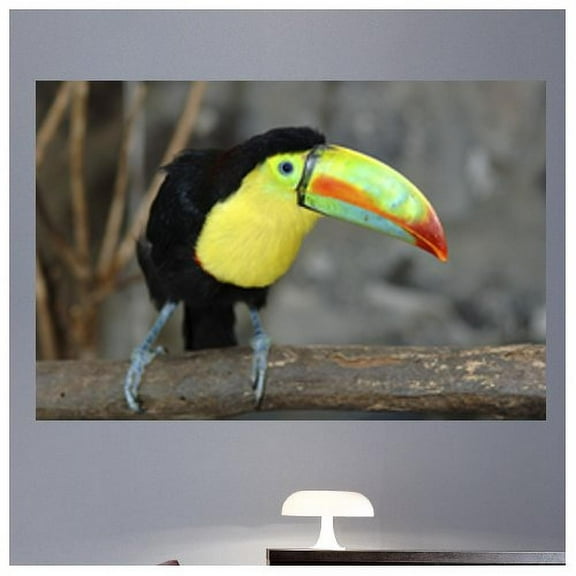 Wallhogs Toucan I Glossy Wall Mural