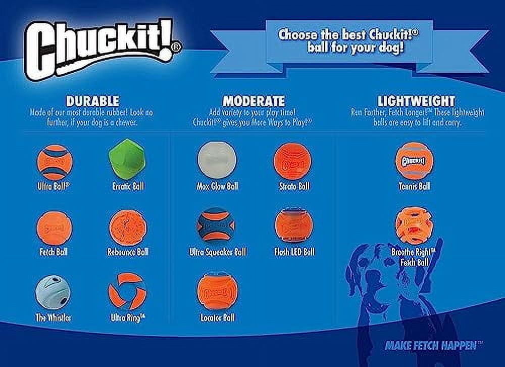 Chuckit! Erratic Dog Ball Unpredictable Bounce Rubber Fetch Toy For Dogs, Medium 2.5", For Breeds 20 to 60 lb, Pack of 1, Green