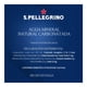 thumbnail image 5 of San Pellegrino Agua Mineral con Gas, Natural Mineral, Sin calor&iacute;as y sin Az&uacute;cares, Caja de 24 botellas de vidrio de 250ml c/u, 5 of 9