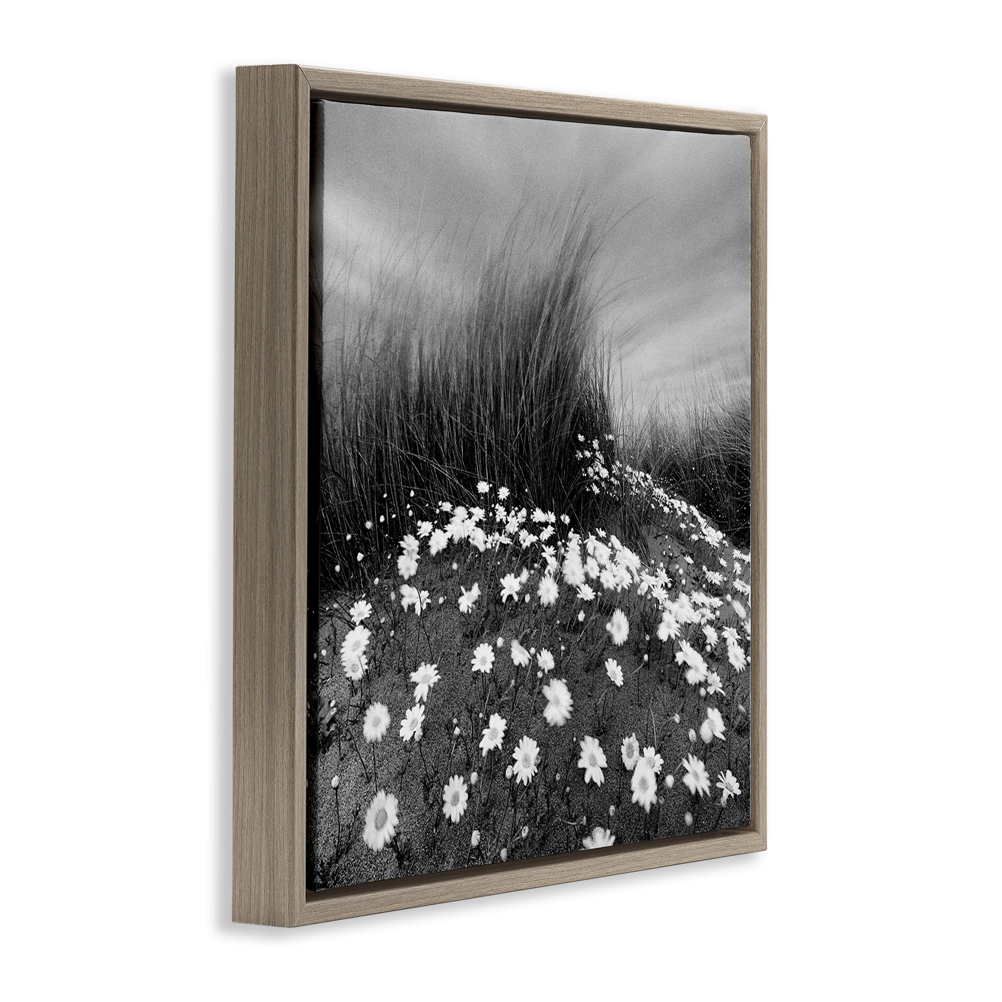 Stupell Industries Sand Daisies on Hill Landscape Photography Brown Floater Framed Art Print Wall Art, 25 x 25