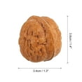 thumbnail image 2 of 20pcs Fake Walnut, Faux Walnut Photography Props Artificial Nuts Decorations, 2 of 6