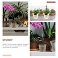 thumbnail image 3 of OULII 10Set Clear Orchid Flower Pot for Orchids and Indoor Outdoor Plants, 3 of 8