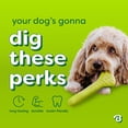 thumbnail image 4 of Benebone Essentials Rubber Bone, 4 of 6