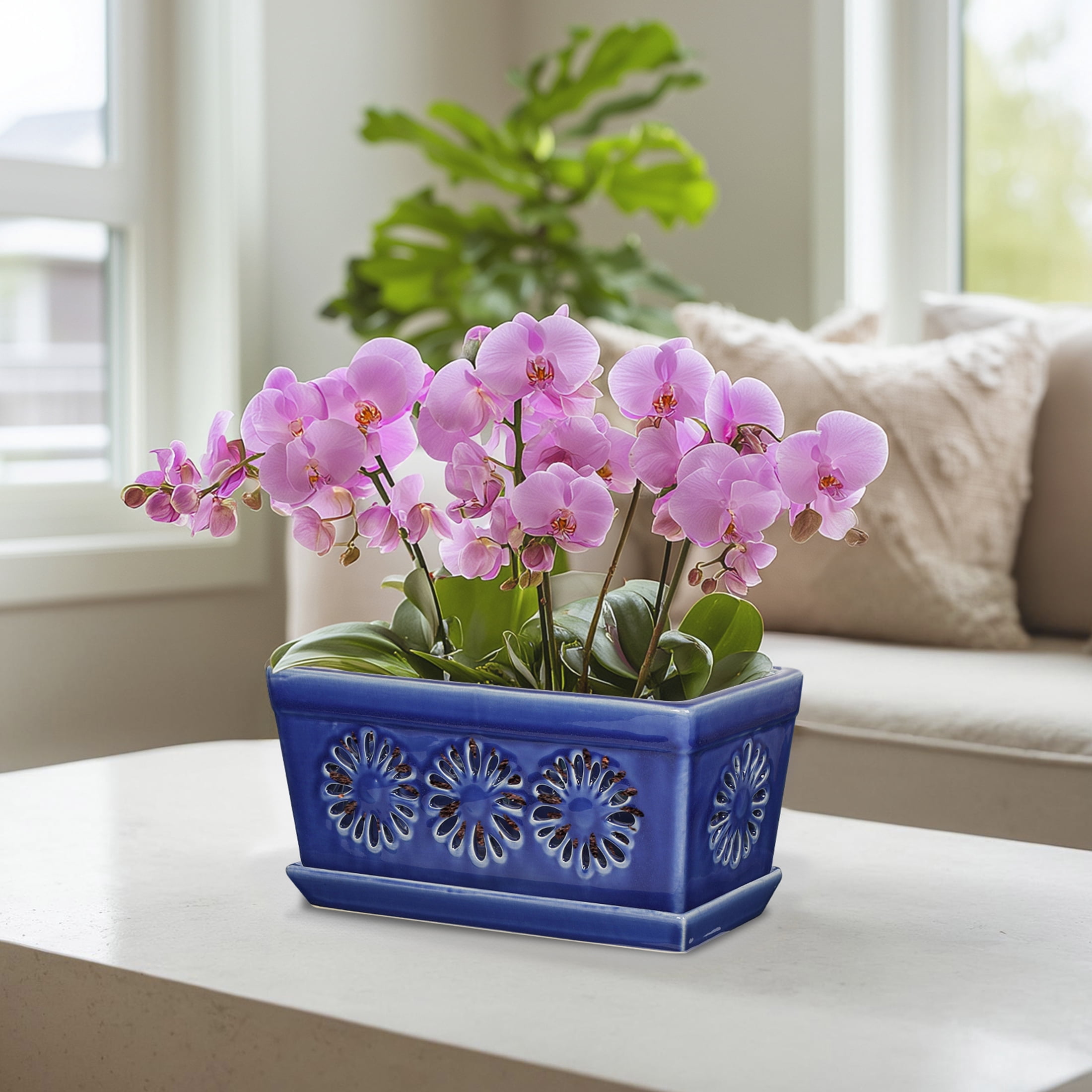 Ceramic orchid pot, 10 inch orchid pots with holes, handmade glazed pot for orchidaceae plants, accommodate 2 orchids, blue