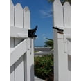 thumbnail image 2 of Richelieu 301-R 4-7/8" Long Single Sided Automatic Gate Latch - Black, 2 of 3