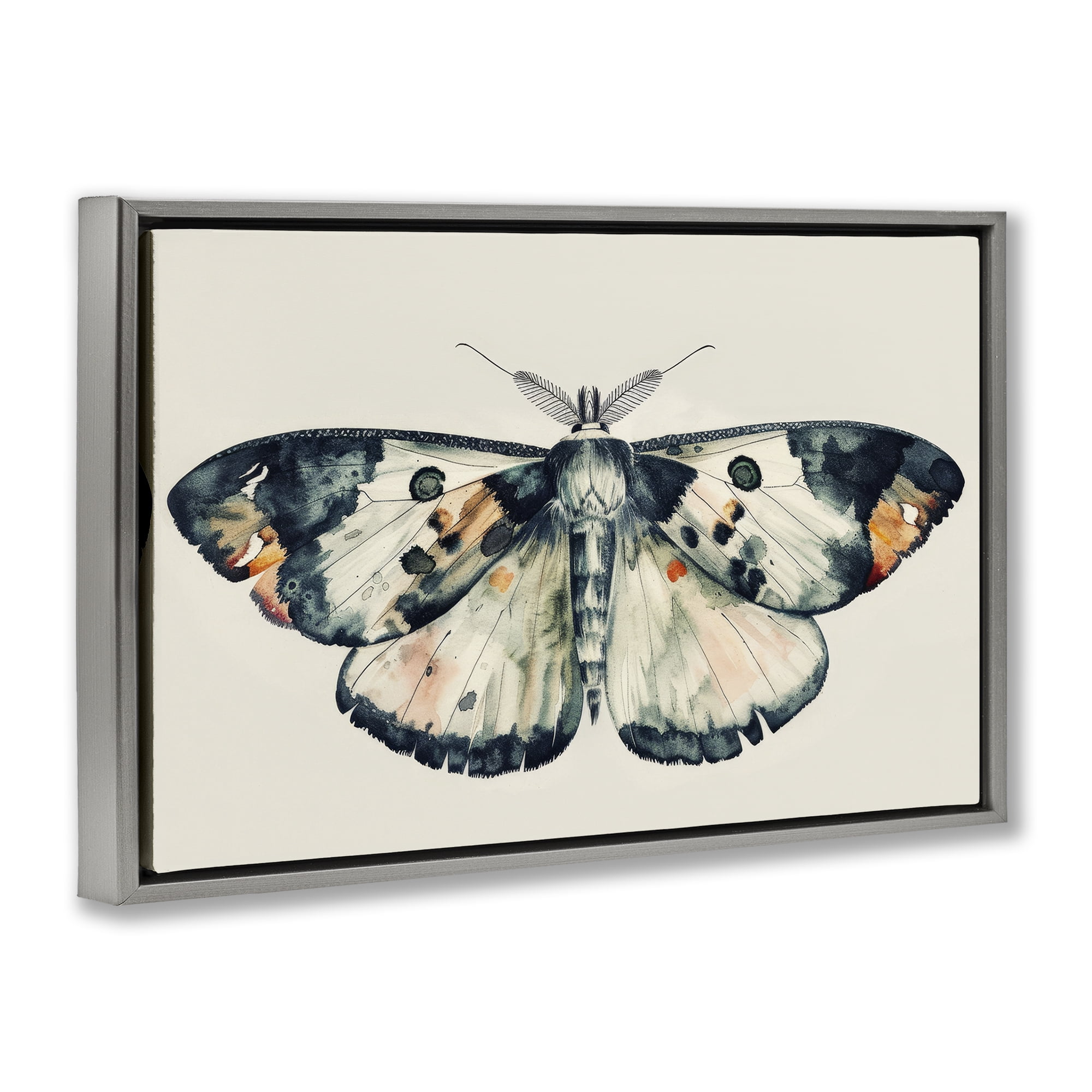 Stupell Industries Watercolor Black Trimmed Moth Animals Painting Gray Floater Framed Canvas Art Print Wall Art, 31 x 21