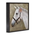 thumbnail image 2 of Stupell Industries Cottage Boho Barnyard Horse Black Framed Giclee Art, 12 x 12, by Suzanne Nicoll, 2 of 8