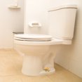 thumbnail image 4 of Homerr Toilet Floor Bolt Caps 1/2Pcs Toilet Bolt Covers Fish Tortoise Toilet Floor Bolts Resin Toilet Floor Bolt Caps Cute Decorative Ocean Easy Installation Tortoise Toilet Bolt Covers, 4 of 7