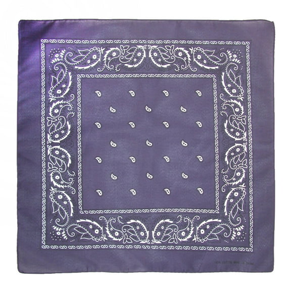 CTM® Individually Folded & Packaged Paisley Print Cotton Bandana