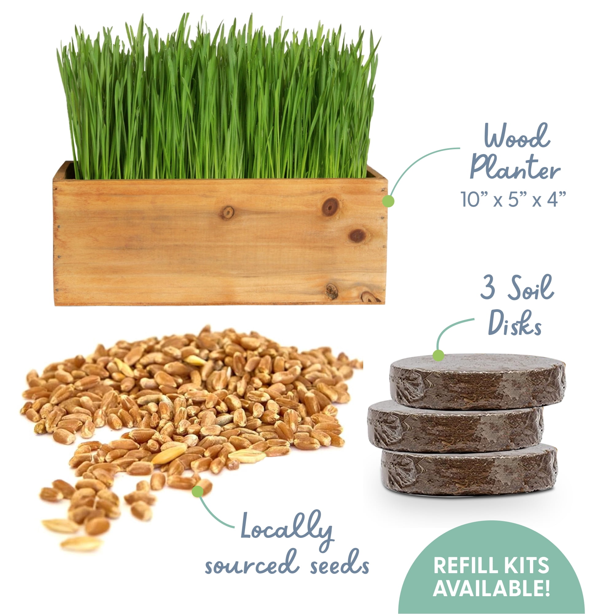 The Cat Ladies Cat Grass Kit complete with Rustic Wood Planter, Organic Seed and Soil. Easy to Grow
