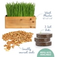 thumbnail image 3 of The Cat Ladies Cat Grass Kit complete with Rustic Wood Planter, Organic Seed and Soil. Easy to Grow, 3 of 9