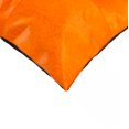 thumbnail image 2 of Natural Torino Quattro Color Cowhide Pillow | 2-Pack | 18"x18", 2 of 2