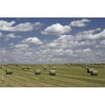 thumbnail image 1 of Hay Bales In Field Alberta Canada Poster Print, 36 x 24, 1 of 1