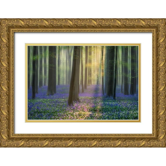 Popan, Adrian 32x23 Gold Ornate Wood Framed with Double Matting Museum Art Print Titled - Daydreaming of Bluebells II