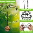 thumbnail image 2 of Rzvnmko Juego de 4 Comederos para Pájaros con Bola de Sebo, Kit de Estación de Alimentación para Pájaros de Metal con Cadena Colgante, Comederos para Pájaros a Prueba de Ardillas para Colgar en el Exterior Hummingbird Feeders, 2 of 8