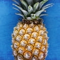 thumbnail image 2 of Kimberly, Allen 26x26 Black Ornate Wood Framed with Double Matting Museum Art Print Titled - Pineapple Blue 2, 2 of 4