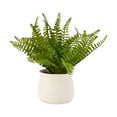 thumbnail image 1 of Anko Artificial Fern in Pot, 1 of 5