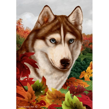 Siberian Husky Red Blue Eyes - Best of Breed Fall Leaves Garden