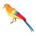thumbnail image 1 of Pájaros artificiales en clips - Aves de espuma con plumas artificiales para manualidades de bricolaje Adornos de pájaros de jardín Decoraciones para f 5 Baoblaze Pájaro Artificial Decorativo, 1 of 6