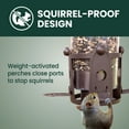 thumbnail image 2 of Perky-Pet Squirrel-Be-Gone Max Bird Feeder with Flexports, 4 lb Capacity, 2 of 12