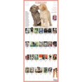 thumbnail image 2 of 365 Puppies-A-Year Picture-A-Day(r) Wall Calendar 2025, (Paperback), 2 of 4