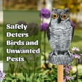 thumbnail image 3 of Dujiujun Orchard Owl Scarecrows Garden Decoration Creative Shape Realistic Looking Bird Repellent Owl Statue Ornament, 3 of 8