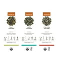 thumbnail image 4 of Teabloom Masters Collection Loose Leaf Tea Chest, 4 of 5