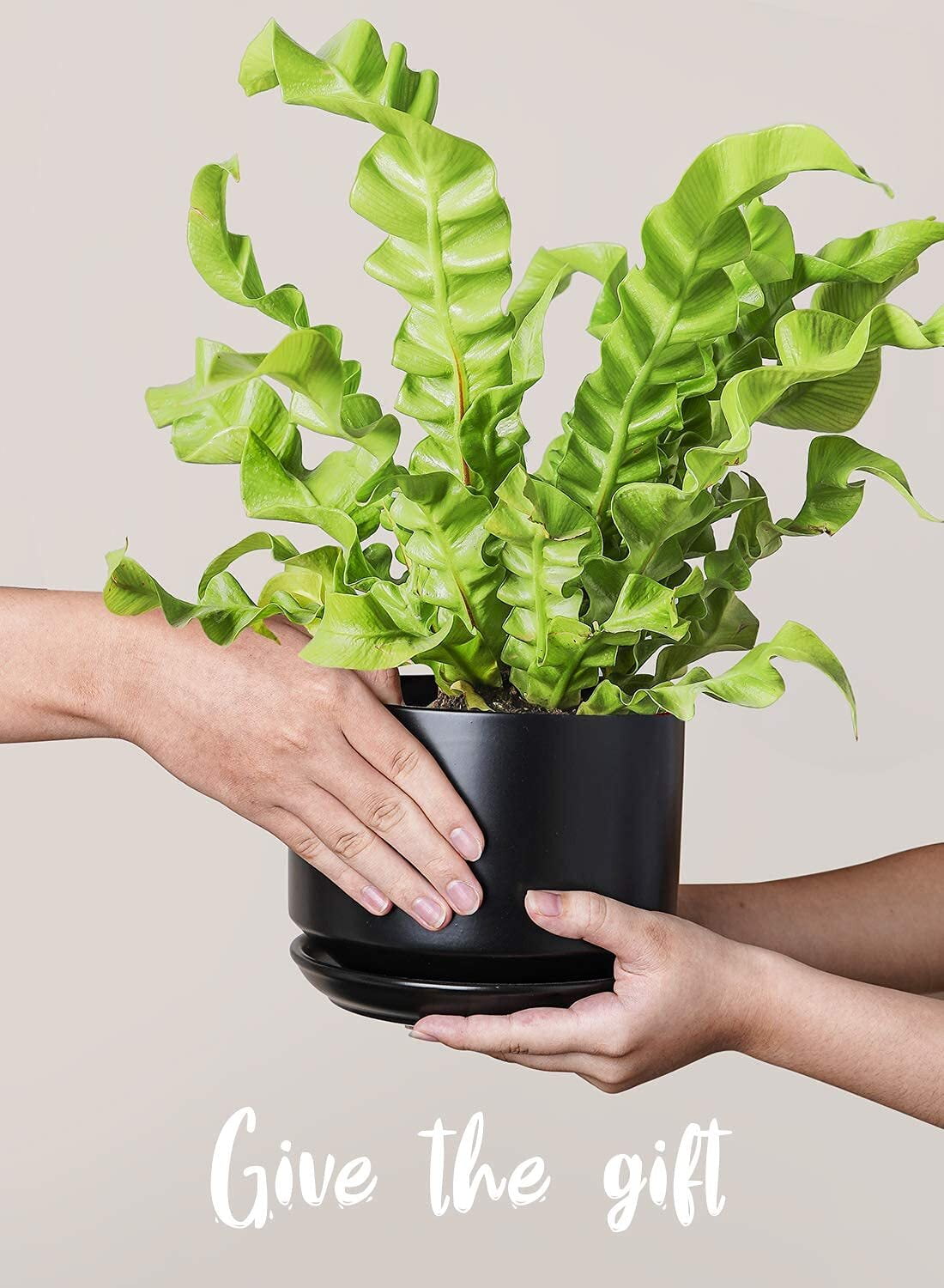 BEMAY Ceramic Plant Pots, 4"+5"+6.8" Flower Pots with Drainage Hole & Saucer, Pack of 3, Black