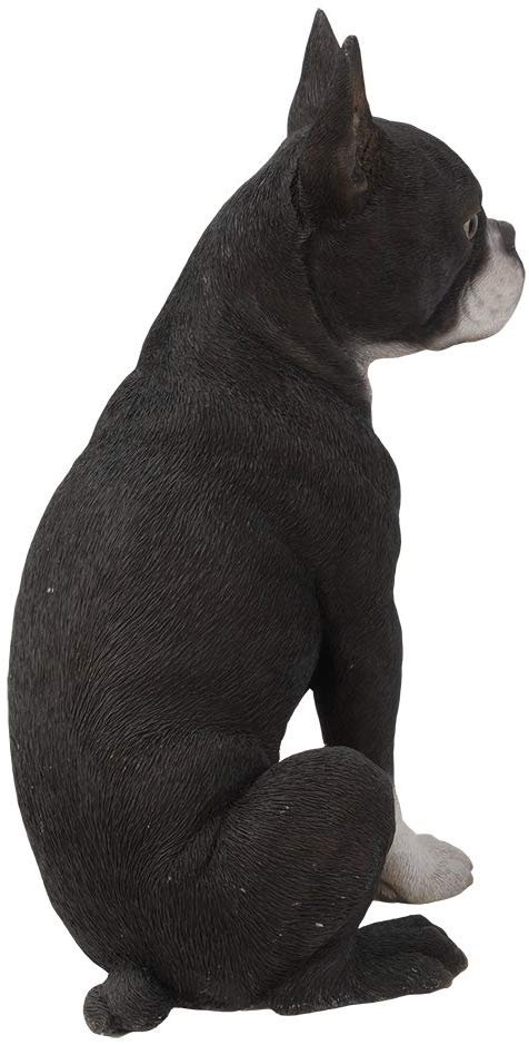 Realistic Life Size Boston Terrier Statue Detailed Sculpture Glass Eyes Hand Pai
