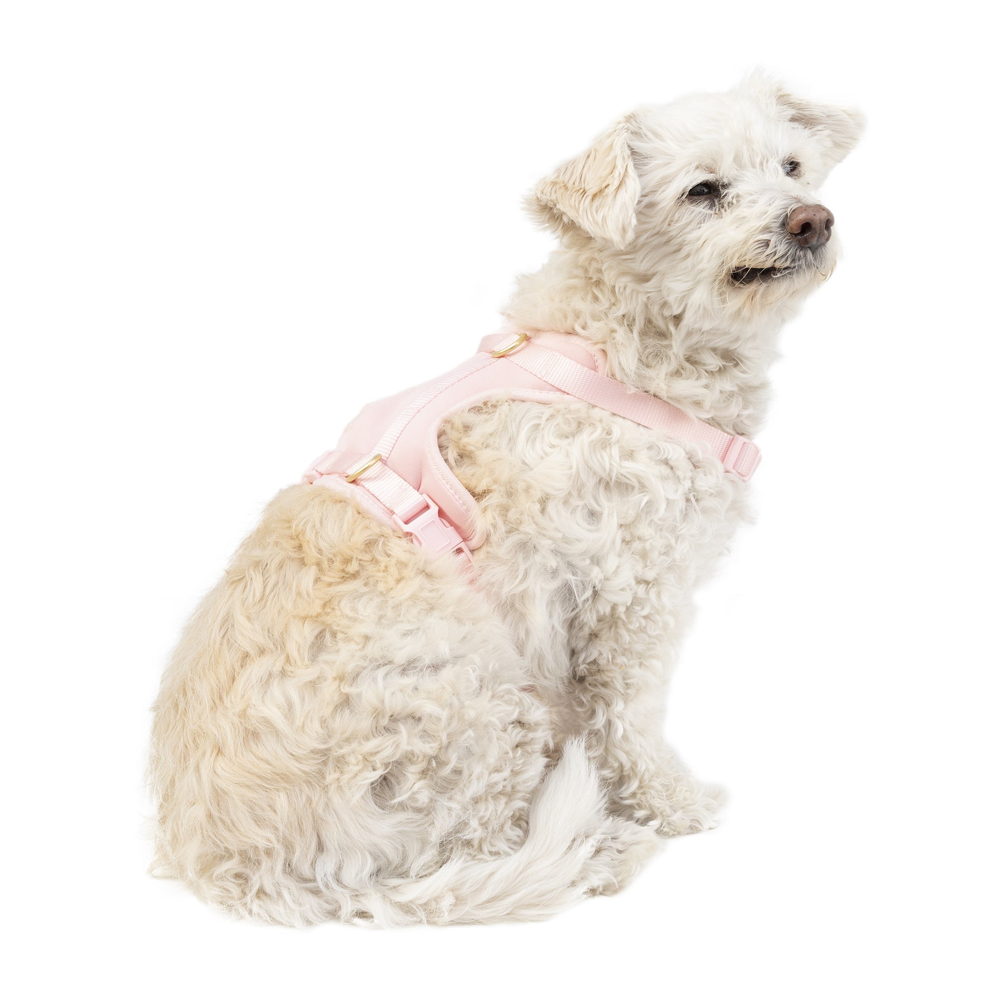 Vibrant Life Pink Adjustable Neoprene Harness for Dogs, Size Small