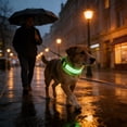 thumbnail image 4 of Collar LED recargable para paseos nocturnos - Collar de seguridad para mascotas impermeable y ajustable con luz en la oscuridad USB, 4 of 7