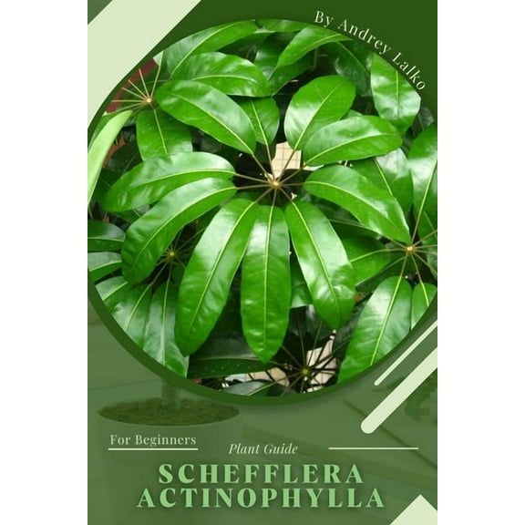 Schefflera actinophylla: Plant Guide
