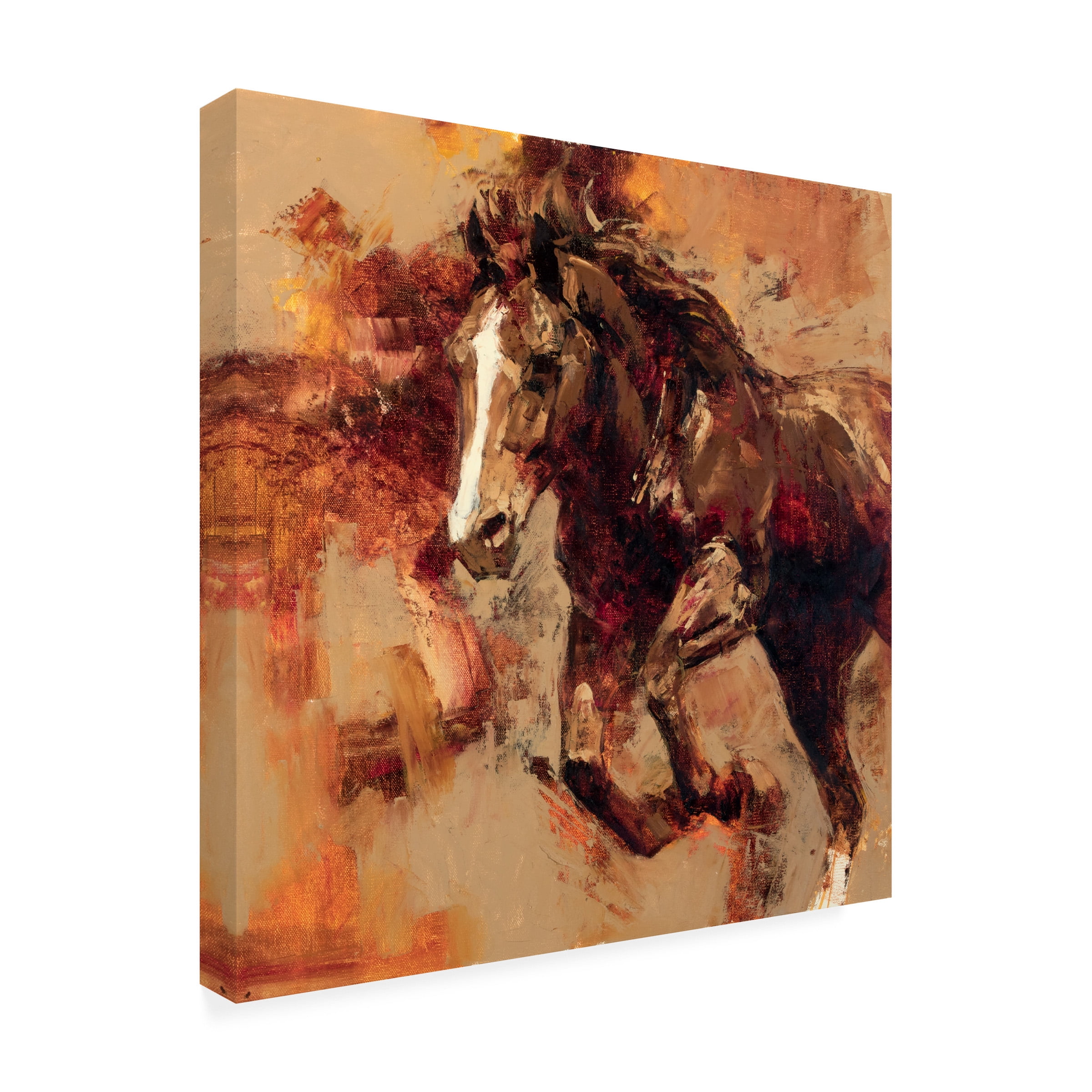 Julie T Chapman 'Earth Wind Fire' Canvas Art