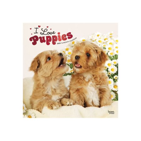 UPC: 0097815489816 | BrownTrout – 16-month calendar – wall mount – 2023 – I love puppies – month to view – square – 12 in x 12 in – dated