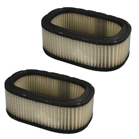 Homelite Circular Saw Replacement Air Filters # UP05631-2PK