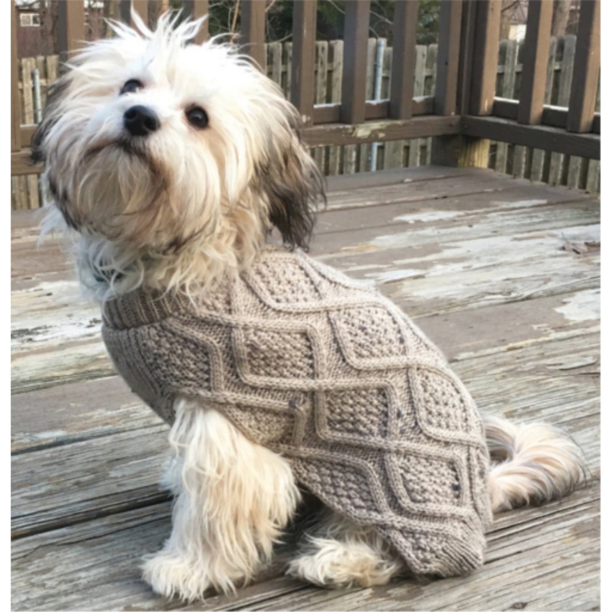 Snugz Arooz Baby Shelldon Small Dog Toy