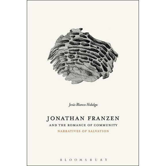 Jonathan Franzen and the Romance of Community: Narratives of Salvation, (Paperback)