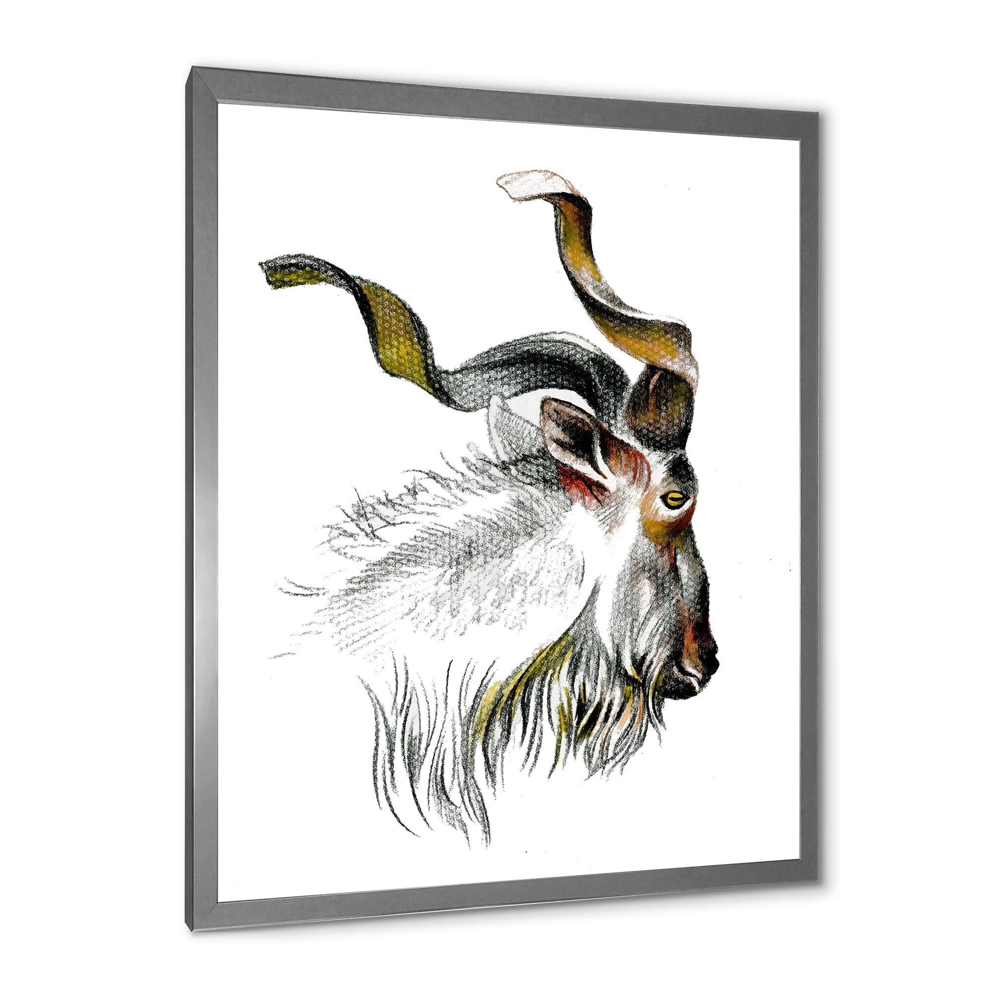 Designart 'Black and White Portrait Of Goat II' Farmhouse Framed Art Print