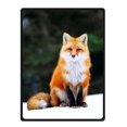 thumbnail image 1 of RYLABLUE Durable Love Red Foxes Fleece Throw Blanket 58x80 inches, 1 of 1