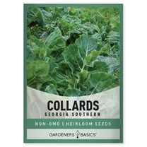 Georgia Southern Collard Seeds