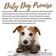 thumbnail image 2 of Avo-Med Shampoo 17oz – Soothing Moisturizer for Dogs, Cats, Ferrets & Rabbits, 2 of 3