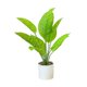 thumbnail image 1 of Planta artificial de Banyan, planta en maceta blanca, regalo perfecto para inauguración de la casa, estilo 1, 1 of 5