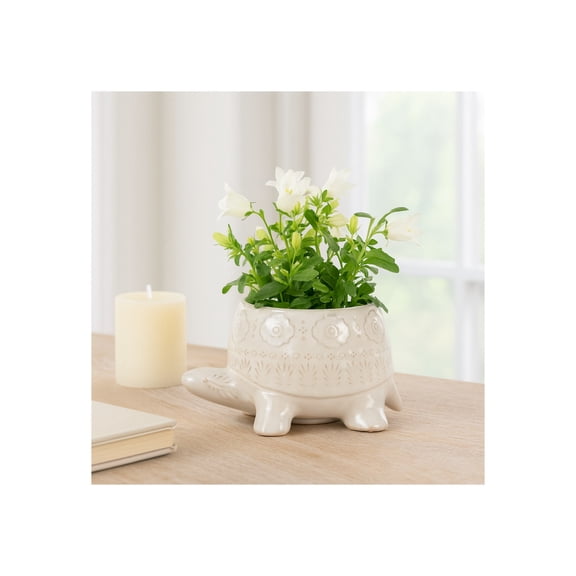 Turtle Shaped Ceramic Flower Pots for Home Decor - Sculptural Planters and Pots for Plants with Textured Detail - Decorative Accent Planters for Indoor Plants and Outdoor Placement - 4", White