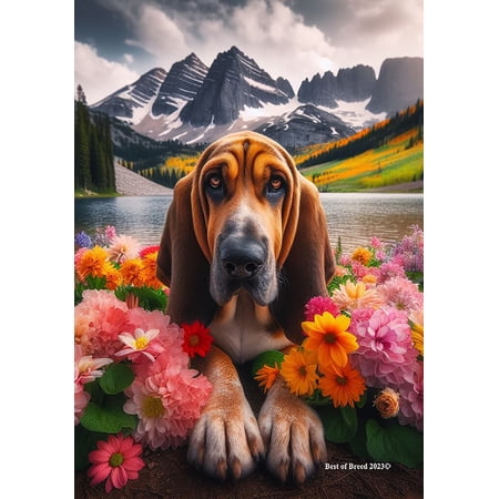 Bloodhound - Best of Breed DCR Spring House Flag