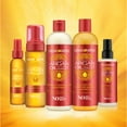 thumbnail image 5 of CREAM of NATURE - Argan Sulfate-Free Moisture & Shine Shampoo 12 Oz * BEAUTY TALK LA *, 5 of 5