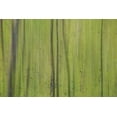 thumbnail image 2 of Stelfox, Norm 32x23 Gold Ornate Wood Framed with Double Matting Museum Art Print Titled - Green III, 2 of 4