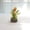 Orange, variant on 5.9x2.8x2.8 Inch Simulated Flower Potted Decoration, Artificial Tulip And Rose Bonsai In Stump Shaped Pot, Desktop Ornament For Home And Office