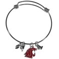 thumbnail image 1 of NCAA Washington State Cougars Charm Bangle Bracelet, 1 of 2