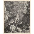 thumbnail image 3 of Ridinger 12x14 Black Modern Framed Museum Art Print Titled - Woodland Deer VII, 3 of 5