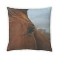 thumbnail image 2 of Ahgly Company Coussin d'Intérieur Animaux Cheval, 18 Pouces par 18 Pouces, 2 of 6